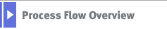 Process Flow Overview